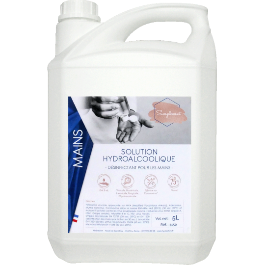 Solution hydroalcoolique