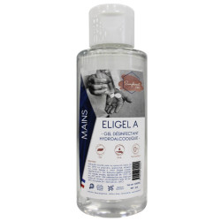 Gel désinfectant hydroalcoolique 100 ml
