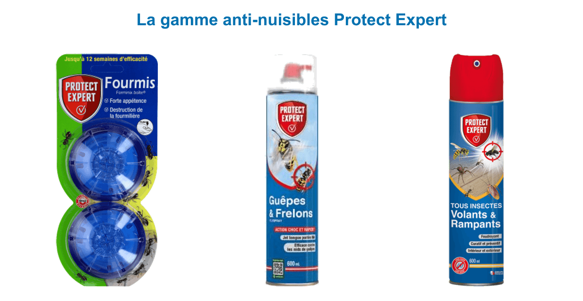 Gamme anti-nuisibles Protect Expert : boîtes appâts fourmis, aérosol guêpes et frelons, spray insectes volants et rampants