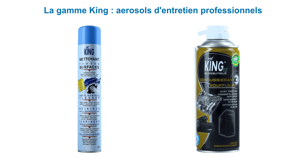 Gamme King : nettoyant toutes surfaces 750 ml et bombe dépoussiérante souffleur 300 ml en aérosol