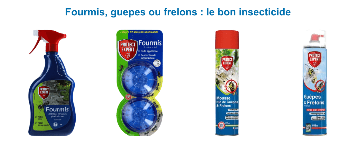 Insecticides Protect Expert : spray anti-fourmis 1 L, boîtes appâts fourmis, mousse nid de guêpes et frelons, aérosol guêpes frelons longue portée