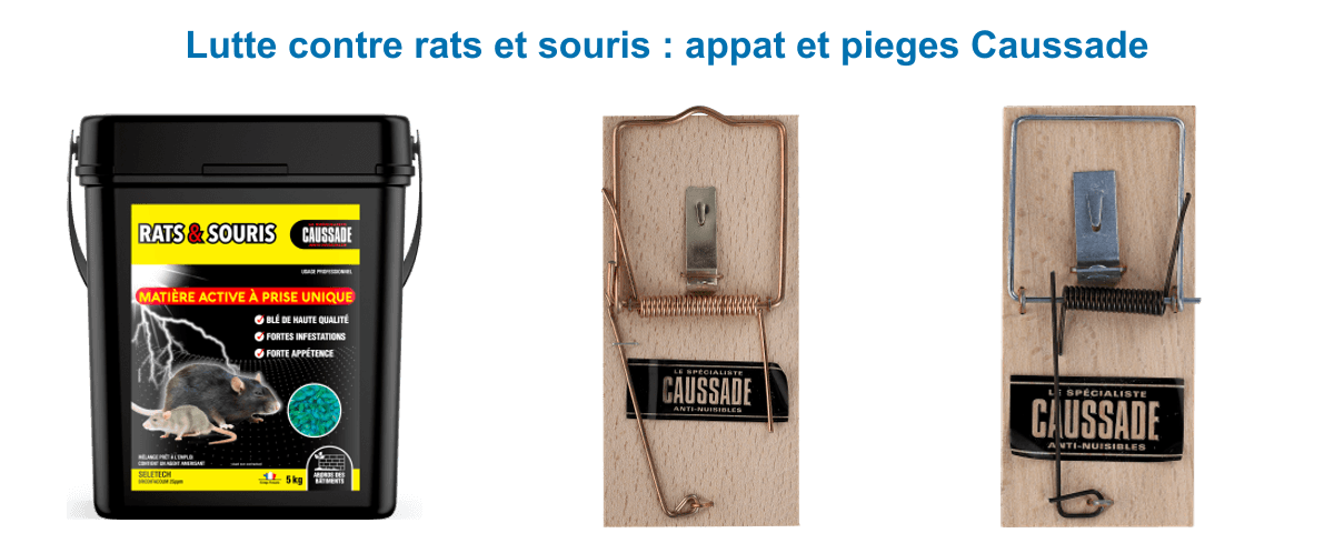 Lutte contre les rongeurs Caussade : raticide souricide céréales 5 kg forte appétence, tapette à rat et tapette à souris en bois