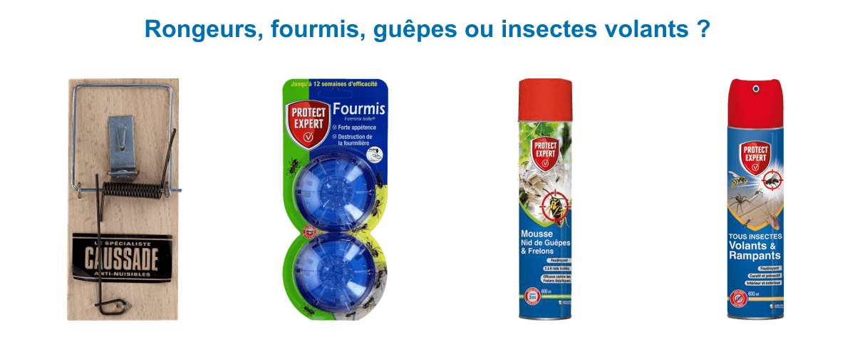 Solutions SBM par nuisible : tapette à souris Caussade, gel anti-fourmis, mousse anti nid de guêpes et insecticide volants rampants Protect Expert